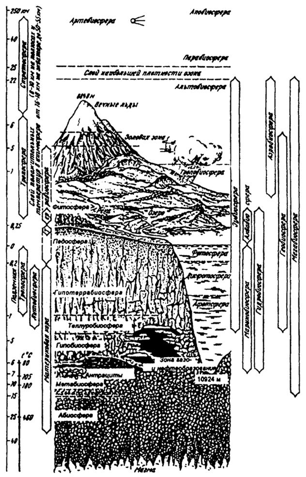 #Рис. 2.2. Общая структура биосферы